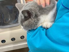 -pd派德宠物中心医院24H急重症·眼科中心·血液透析中心(嵩山北路店)