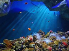 -福州罗源湾海洋世界旅游区