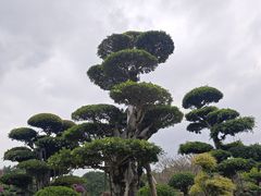 -南宁南湖公园