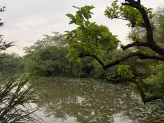 -木守西溪溪隐餐厅