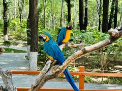 -北京野生动物园