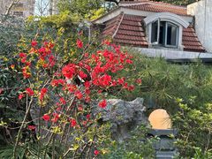 -申粤轩酒楼·三十年粤菜经典(丁香花园店)