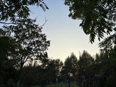 -上海吴淞炮台湾国家湿地公园
