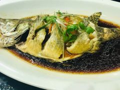 -丰收日(五角场店)