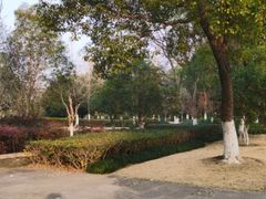 -杭州城北体育公园