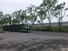 -东平国家森林公园