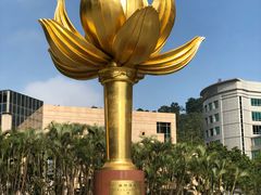 -金莲花广场
