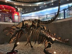 -国家自然博物馆