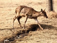 -南京金牛湖风景区