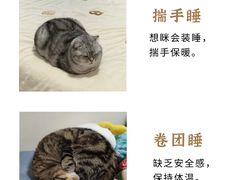 -纳吉亚猫专科动物医院博雅分院