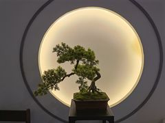 -席仁堂推拿按摩脊柱调理(世纪科贸大厦店)