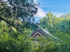 -香山公园