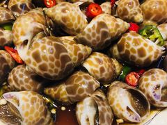 酱爆炒花螺-臻鲜燕海鲜融合餐厅(金陵style店)