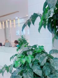 -爱美丽科技美肤中心