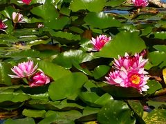 -永定河休闲森林公园