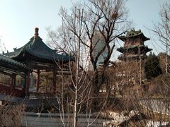 -迎泽公园