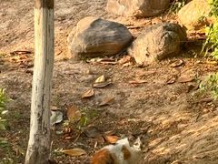 -西安汉城湖景区