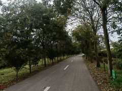 -凤凰沟景区