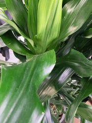 -变画·发型STUDIO