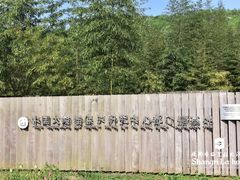 -都江堰中华大熊猫苑