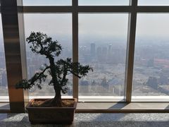 -上海柏悦酒店·世纪100牛排馆