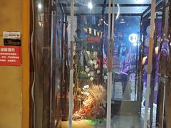 -胡桃里乐队酒馆(广州塔店)