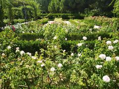 -丽池公园