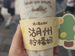 -猫的魔法密林(衣裳街店)