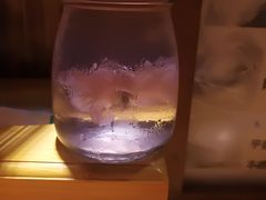 樱花果冻-老龙亭拉面店