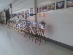 android_upload_pic-宁夏图书馆