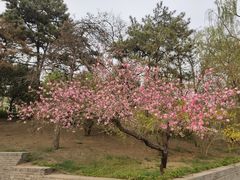 -北京世界公园