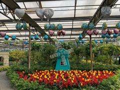 -南宫五洲植物乐园