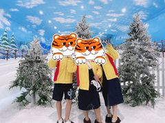 -世界之窗阿尔卑斯冰雪世界
