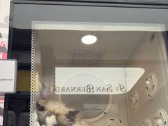 -FAELING PETS美天灵宠物(富力广场店)