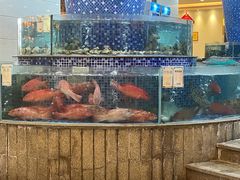 水产区-太子园林酒家