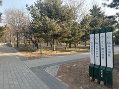 -玲珑塔公园