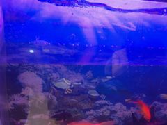 -欢聚烤吧(朱辛庄TBD万科店)