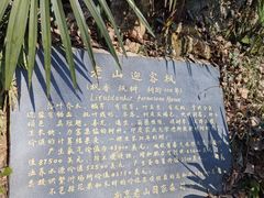 -南京老山国家森林公园