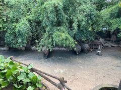 -长鹿旅游休博园