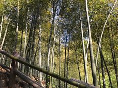 -藏龙百瀑风景区