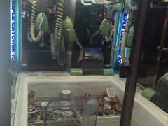 -阿尔法Game Station(中山路店)