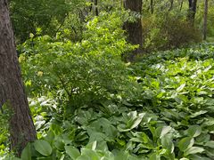 -长春市南湖公园