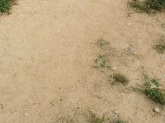 -蓟县盘山滑雪场