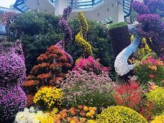 -杭州植物园