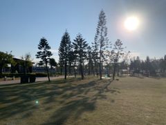 -海珠儿童公园