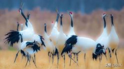 -伊童美家小儿推拿·中式养生(徐汇店)