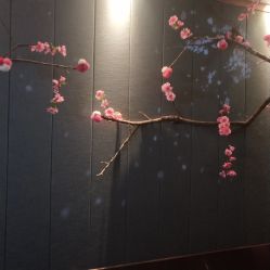 -琦品高端美容SPA会所