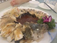-博雅渔港·融合菜(维也纳国际大酒店)