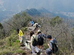 -午潮山国家森林公园