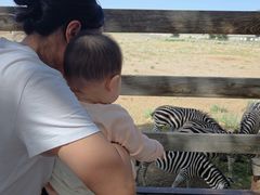 -新疆天山野生动物园